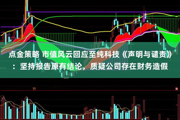 点金策略 市值风云回应至纯科技《声明与谴责》：坚持报告原有结论，质疑公司存在财务造假
