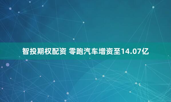 智投期权配资 零跑汽车增资至14.07亿